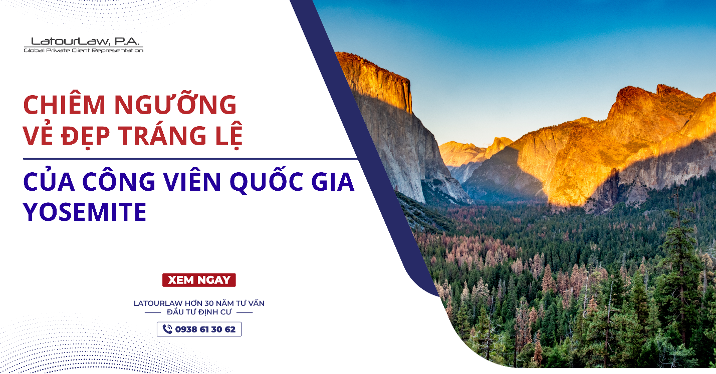 CHIÊM NGƯỠNG VẺ ĐẸP TRÁNG LỆ CỦA CÔNG VIÊN QUỐC GIA YOSEMITE