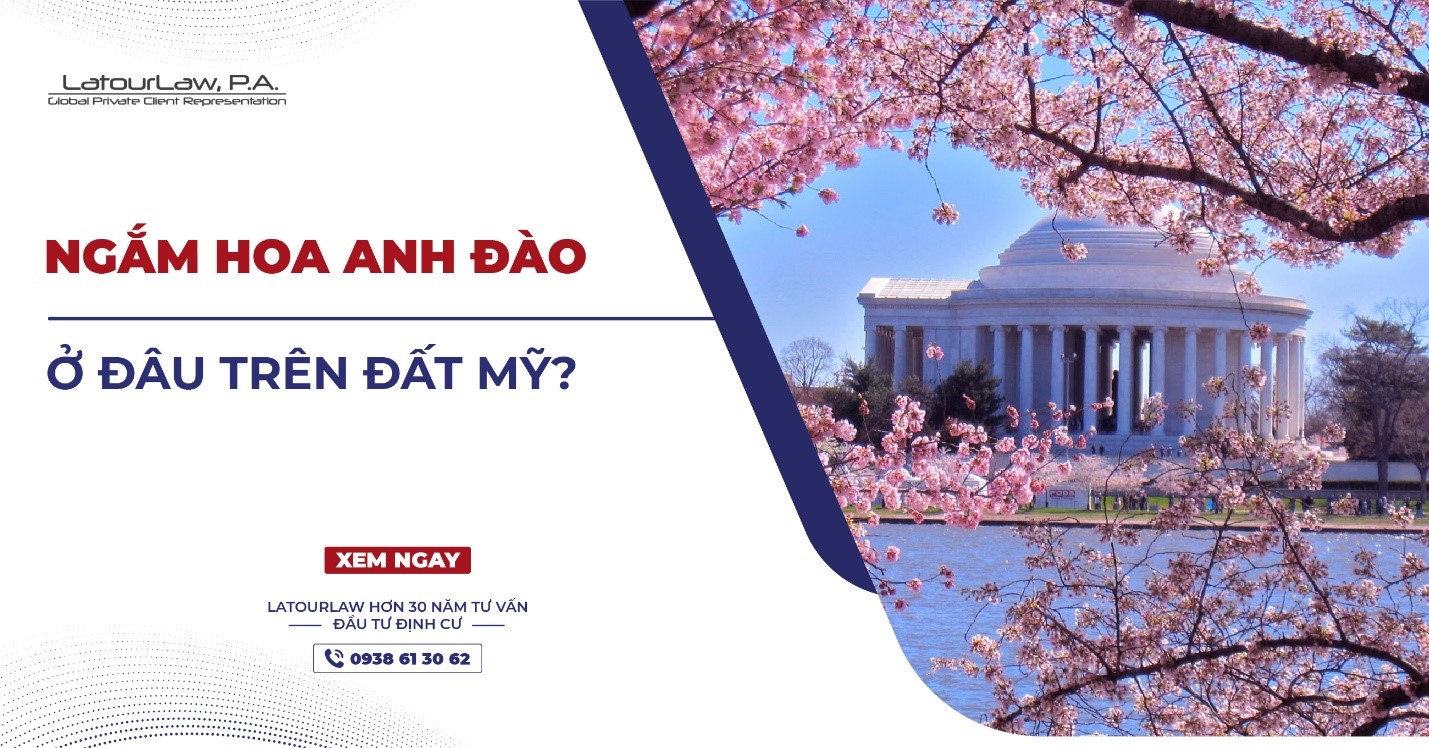 NGẮM HOA ĐÀO Ở ĐÂU TRÊN ĐẤT MỸ?