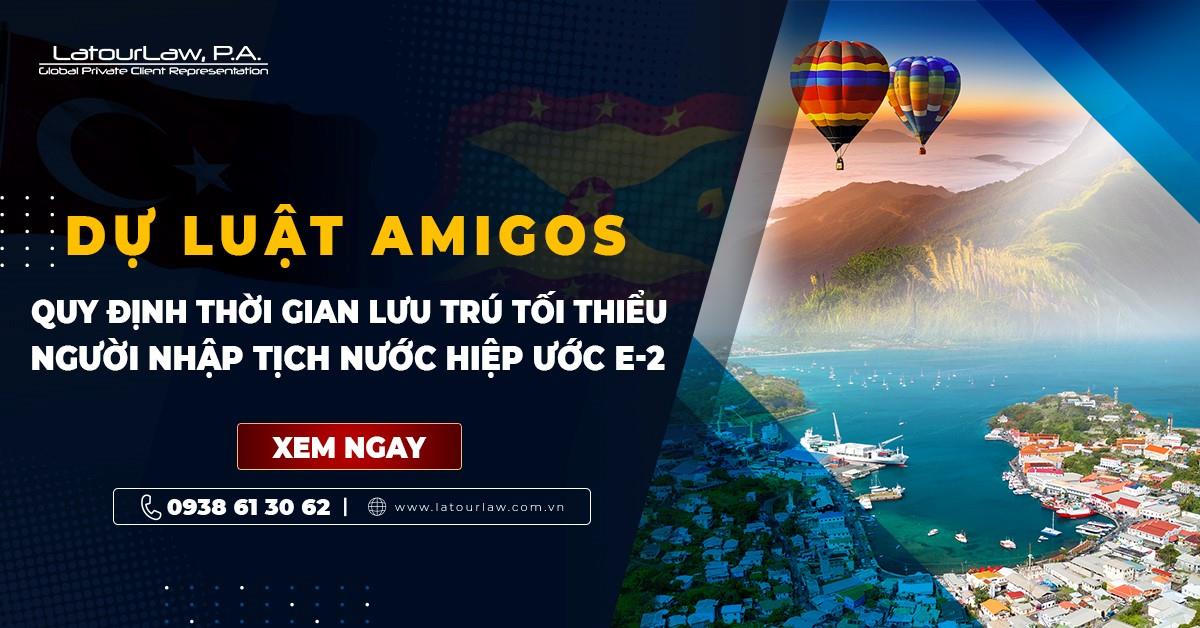 ĐẦU TƯ QUỐC TỊCH HIỆP ƯỚC BỊ ẢNH HƯỞNG BỞI DỰ LUẬT AMIGOS?