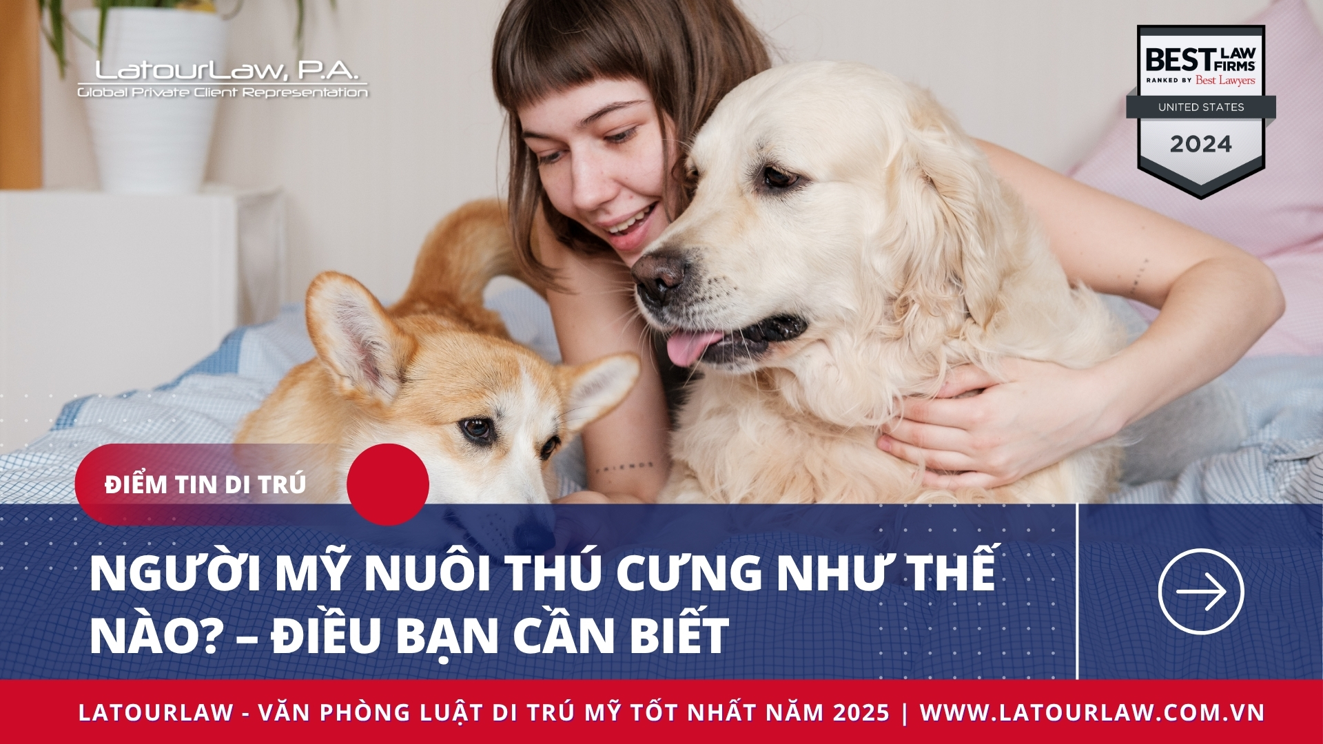 NGƯỜI MỸ NUÔI THÚ CƯNG NHƯ THẾ NÀO? – ĐIỀU BẠN CẦN BIẾT